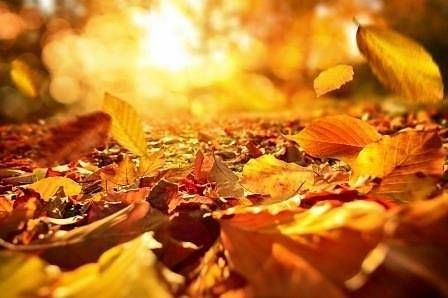 Днес слънчево с максимални температури между 12° и 17°, в югозападните райони до 21°