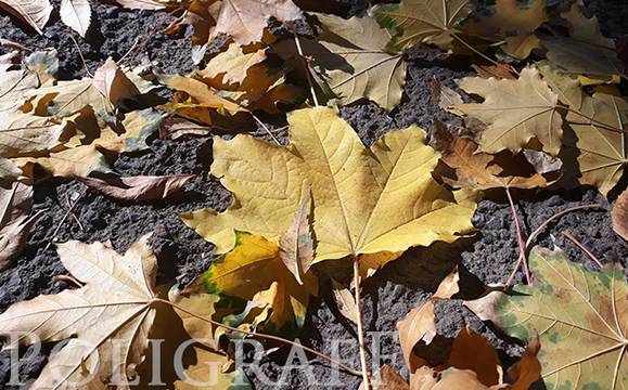 Температурите стигат 13-18 градуса, на места ще превали