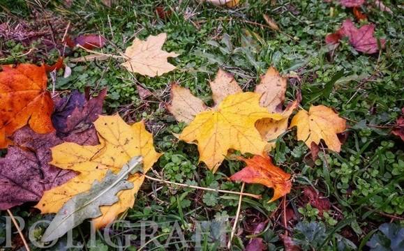 Четвъртъкът ще бъде облачен, на места ще превали