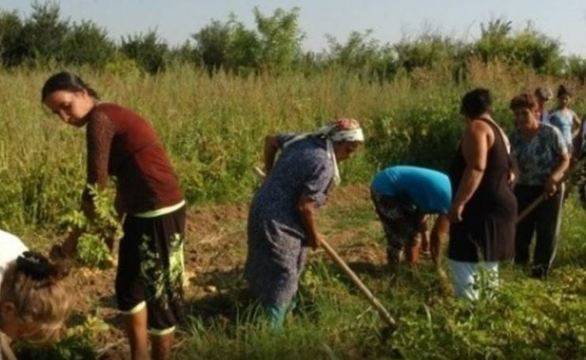 Социално „чудо“ в България: Безработни роми нахраниха цяло село, не взеха и стотинка!