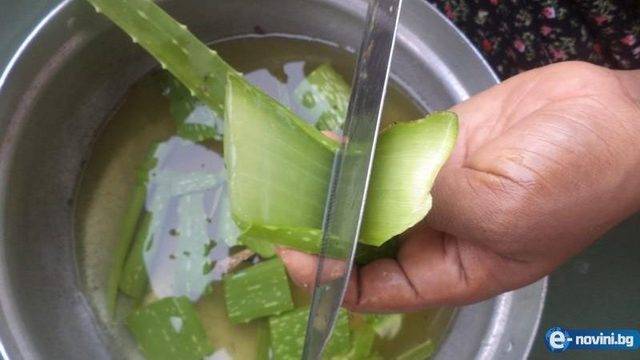 Бях изписана от онкологичната клиника и изпратена да умра вкъщи, но с помощта на стара рецепта се изправих на крака!