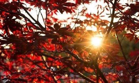 Днес слънчево с максимални температури между 13° и 18°