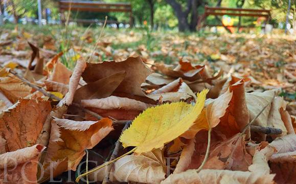 До обяд ще преобладава облачно време, след пладне ни очакват слънчеви часове