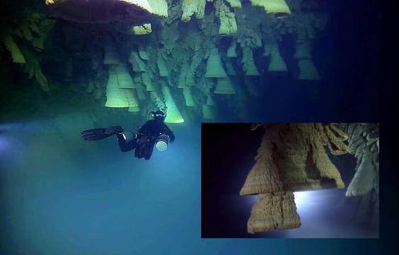 ‘Дяволските камбани’ в подводна пещера на полуостров Юкатан