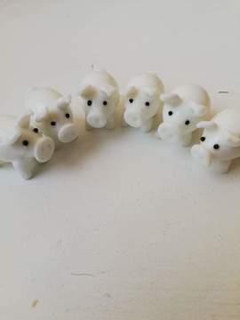 Какво носи на всички зодии годината на земния глиган 2019