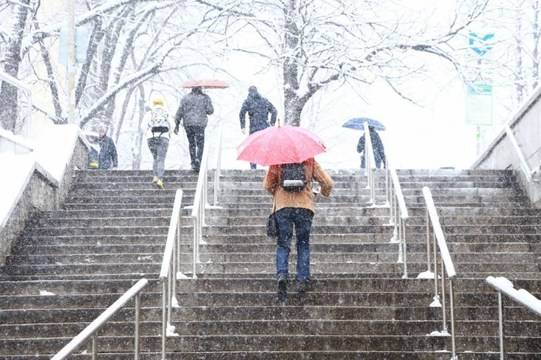 Синоптиците сложиха край на златната и топла есен, снегът и студът идват още тая седмица (ТАБЛИЦА)