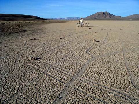 Живите камъни в Долината на смъртта