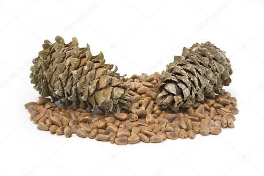 Пиноленова киселина за потискане на апетита