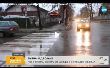 Изплуваха скандални неща за фирканата до козирката шофьорка от Плиска