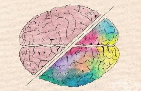 Направете си гимнастика за мозъка
