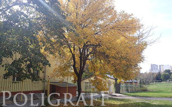 Ще преобладава разкъсана облачност, температурите ще стигнат 12 градуса