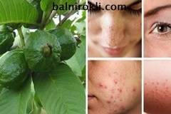 Използвайте Гуава, за да се Освободите от Бръчки, Акне, Тъмни Петна и Кожни Алергии