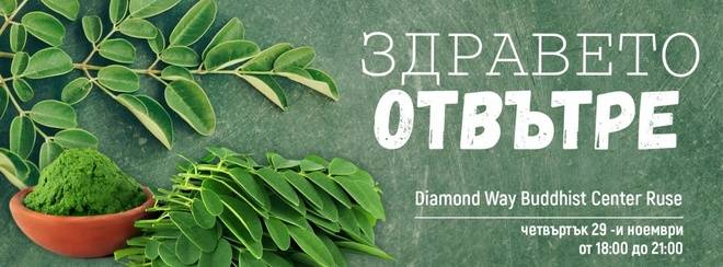 Здравословните продукти, базирани на дървото моринга, ще бъдат представени в Русе