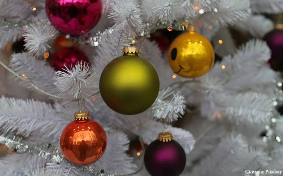 Харчим по 90-100 лева за изкуствена елха