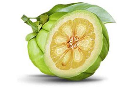 Хидроксицитратът в Калорекс има четиристранен механизъм….