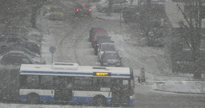 С ВИЕЛИЦИ И ЛЕД ВАРНЕНЦИ ПОСРЕЩНАХА ПЪРВИЯ СНЯГ РАЗЛИЧНИТЕ НОВИНИ DIFFERENT NEWS