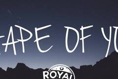 Малката и Денис Теофиков – Полудяваш Текст