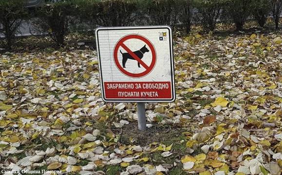 Община Поморие започва масово да глобява стопаните, които не чистят след кучетата си