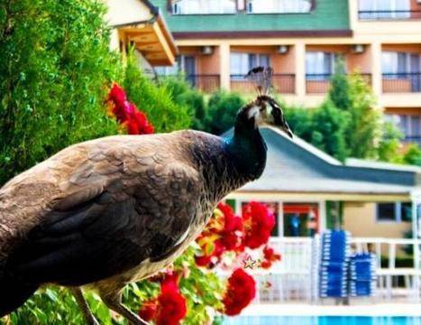 Спа Уикенд в Струмица