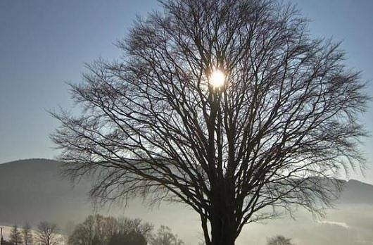 Днес слънчево с максимални температури между 2° и 7°