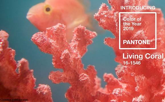 „Жив корал“ ще бъде цветът на 2019-а година