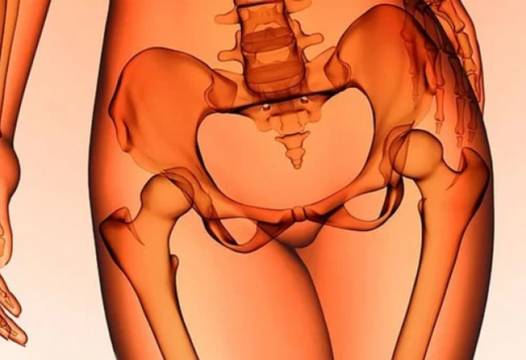 Какво се случва с тялото, ако ядете поне по 2 фурми на ден