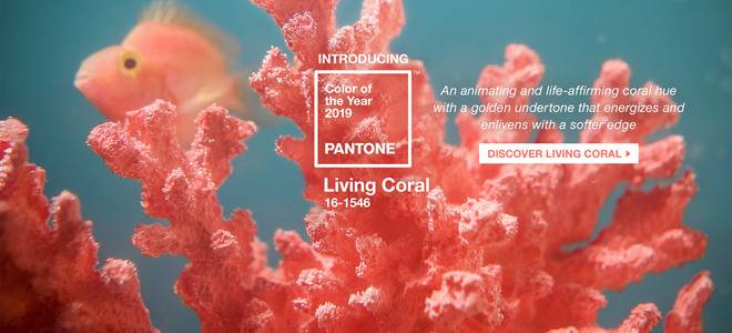 Pantone цвета на 2019 година е 16-1546 Living Coral