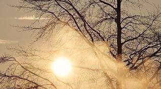 Днес слънчево с максимални температури между 5° и 10°