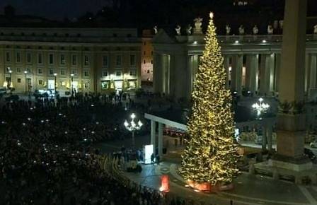 23-метрова елха грейна на площад „Свети Петър“ във Ватикана (СНИМКИ)
