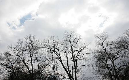 Днес облачно на места с валежи от дъжд. Максималните температури ще са между 5° и 10°