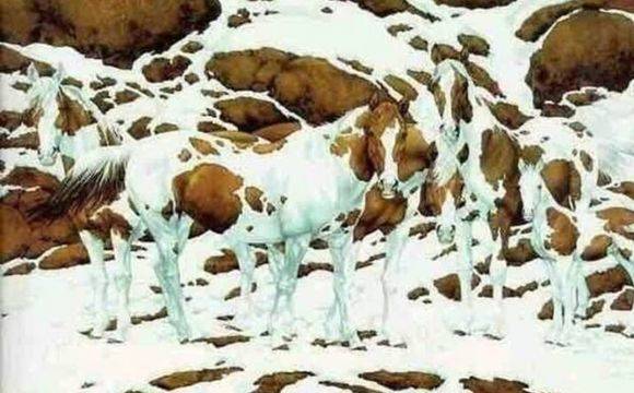 Бърз тест: Провери кое кълбо на мозъка ти е по-развито!