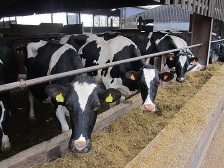 Фонд „Земеделие“ изплати близо 112 млн. лв. субсидии на животновъдите