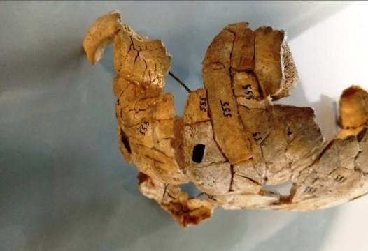 Разкриха убийство с давност 8000 години, археолозите са в шок