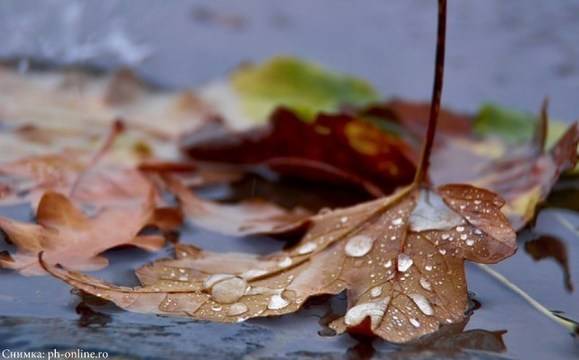 Неделята ще бъде предимно облачна, с валежи от дъжд