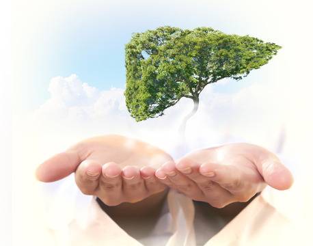 Четирите стадия при цироза на черния дроб