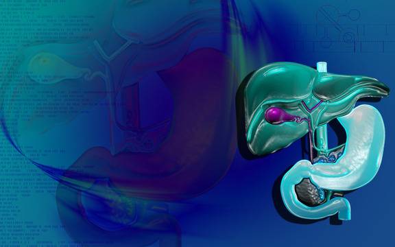 Кои органи се „грижат“ за нашата детоксикация?