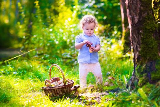 Кои заболявания и процедури могат да причинят сериозно увреждане на черния дроб