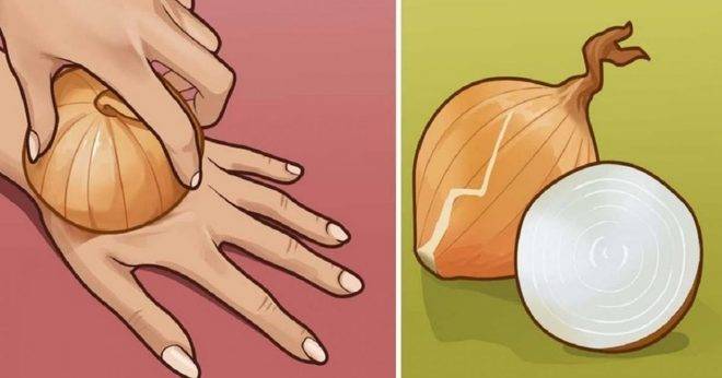 Лукът е източник на младост и най-силният клетъчен регенератор! (РЕЦЕПТИ)