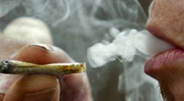 Шок и ужас! Не е за вярване какво се случи с марихуаната на наркопазара у нас