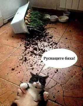 Посолството вика дръжте посолството