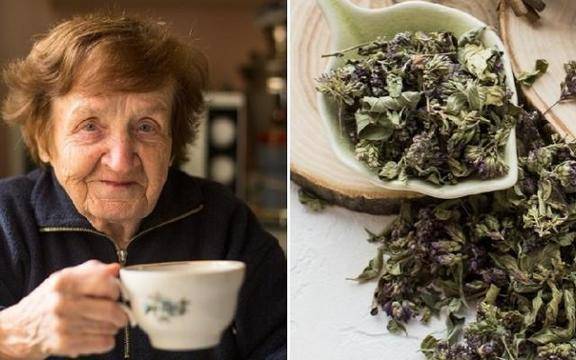 Аз съм вече на 65 години, а не съм стъпвала в болница! Тайната е много проста! Само три пъти седмично пия този чай!
