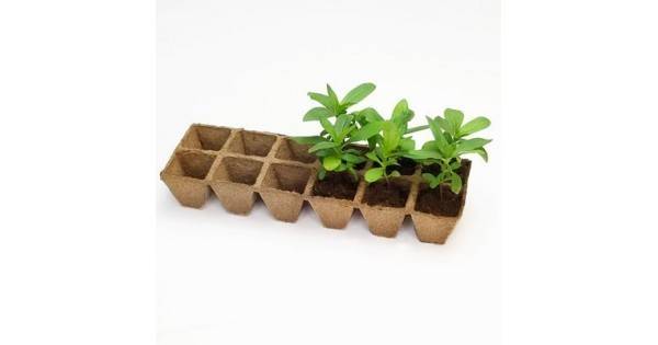 Торфени саксийки за разсад – 12 бр