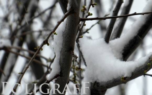 Метеорологичната обстановка в Гърция остава усложнена