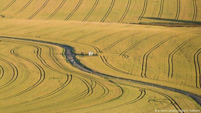 Как аграрните субсидии вредят и на природата, и на човека