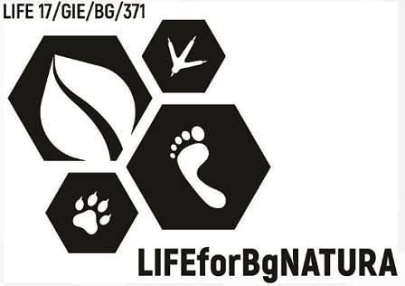 С пари на европейските данъкоплатци, зелените плащат пари на медии