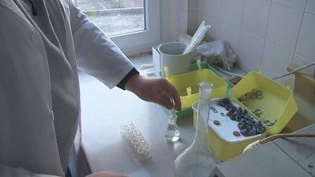 Лаборатория взимала между 500 и 1000 лв. за подмяна на кръвните проби на пияни шофьори