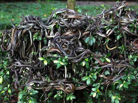 12 забранени места, които не можете да посетите