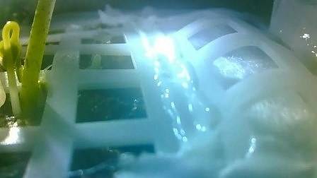 На Луната покълнаха памуковите семена, отнесени от китайския апарат