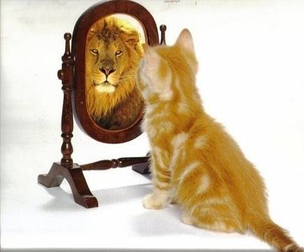 Егати командосите и курсантите дето ги бият като тупани! Каракачанов – балетмайстор