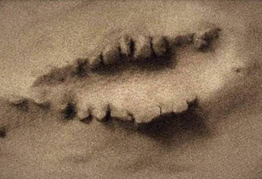 Уфолози погледнаха спътникова снимка на Марс и видяха нещо адски мистериозно (ВИДЕО)